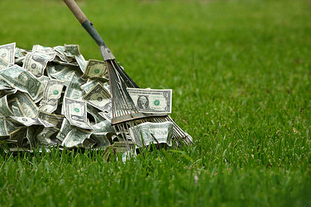 Raking in the Dough Raking money out of the grass.   To make a large amount of money in one fell swoop. rake stock pictures, royalty-free photos & images