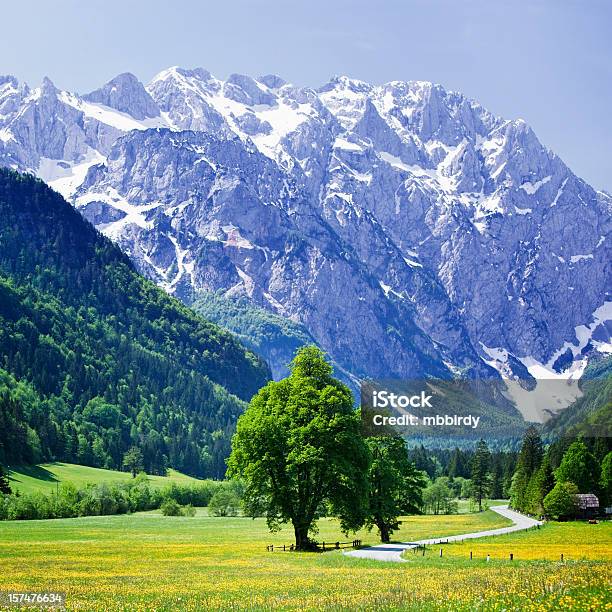 のどかなアルプスヴァレイ - Logar Valley - Sloveniaのストックフォトや画像を多数ご用意 - Logar Valley - Slovenia, カラフル, カラー画像