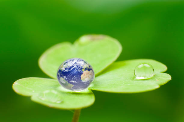 istock Planet earth waterdrop. Green Water Globe World Nature Drop 157476972
