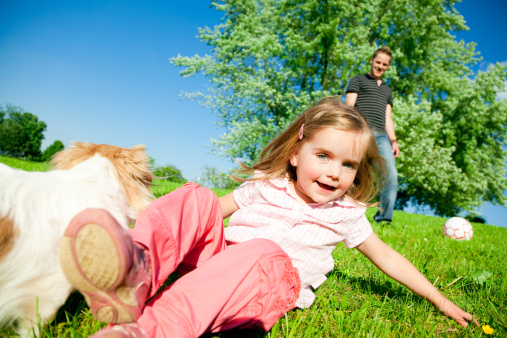 a four-year old girl is playing with her father and her puppy on a green meadow.