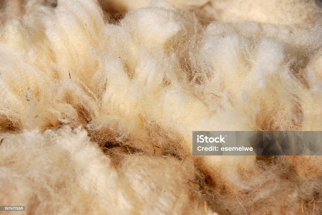 Lã de ovelha bruto - Royalty-free Lã Foto de stock