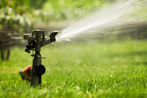 A lawn sprinkler watering the green grass lawn in the summer.