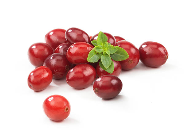 Cranberries with Leafs stock photo