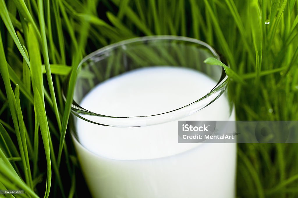 Latte biologico - Foto stock royalty-free di Alimentazione sana