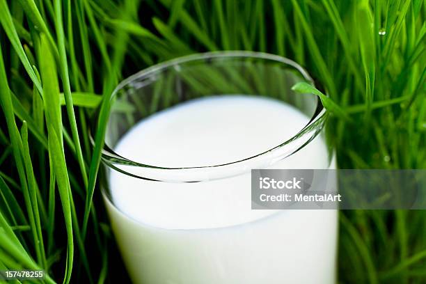 Latte Biologico - Fotografie stock e altre immagini di Alimentazione sana - Alimentazione sana, Bevanda analcolica, Bianco