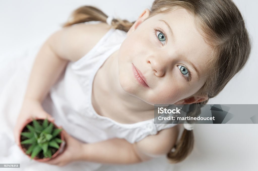 Growing serie A beautiful little girl is looking up holding a small cactus. Shallow DOP, focus on the eyes. 2-3 Years Stock Photo