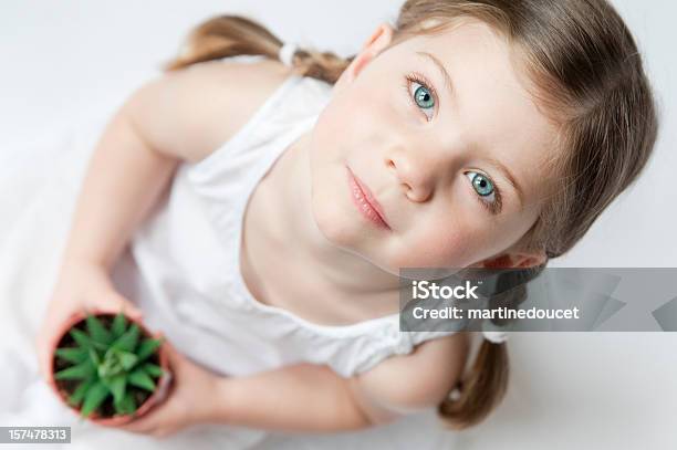 Growing Serie Stock Photo - Download Image Now - 2-3 Years, Beauty, Blue Eyes