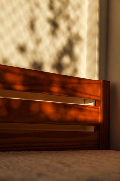 istock Abstract minimalist soft light background with light and shadow from the window and vegetation on the wall of a bedroom with wooden bed. 1574785191