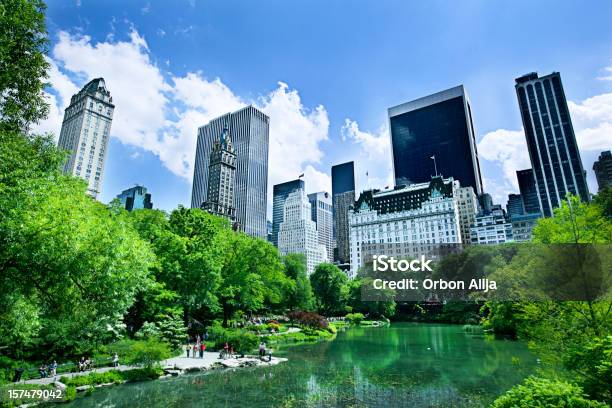 Central Park - Fotografias de stock e mais imagens de Central Park - Manhattan - Central Park - Manhattan, Cidade de Nova Iorque, Plaza Hotel - Manhattan