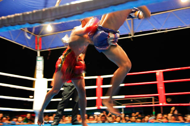 Ultimate fighting stock photo