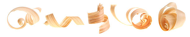 Row of five curled wood shavings on a white background stock photo