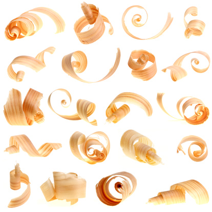 many wood curls apart each other on white background - 20 pictures in one