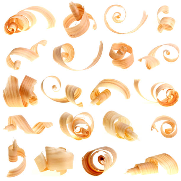 collection of wood shavings many wood curls apart each other on white background - 20 pictures in one wood shavings stock pictures, royalty-free photos & images