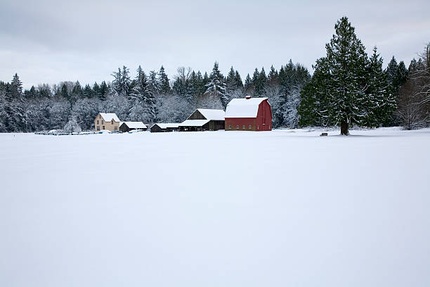istock Farm In the Winter 157479385