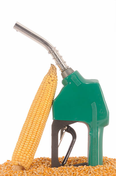 Bio Diesel Fuel pump or fuel gun with corn. Bio diesel, clean energy concept. corn biodiesel crop corn crop stock pictures, royalty-free photos & images