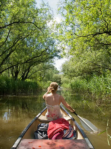 girl canoeing down a peaceful river, in the Biesbosch (netherlands)       