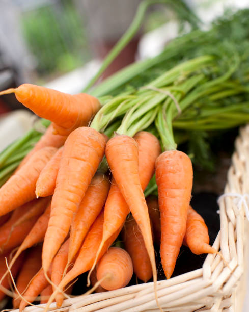 organic carote - leaf vegetable vegetable market agricultural fair foto e immagini stock