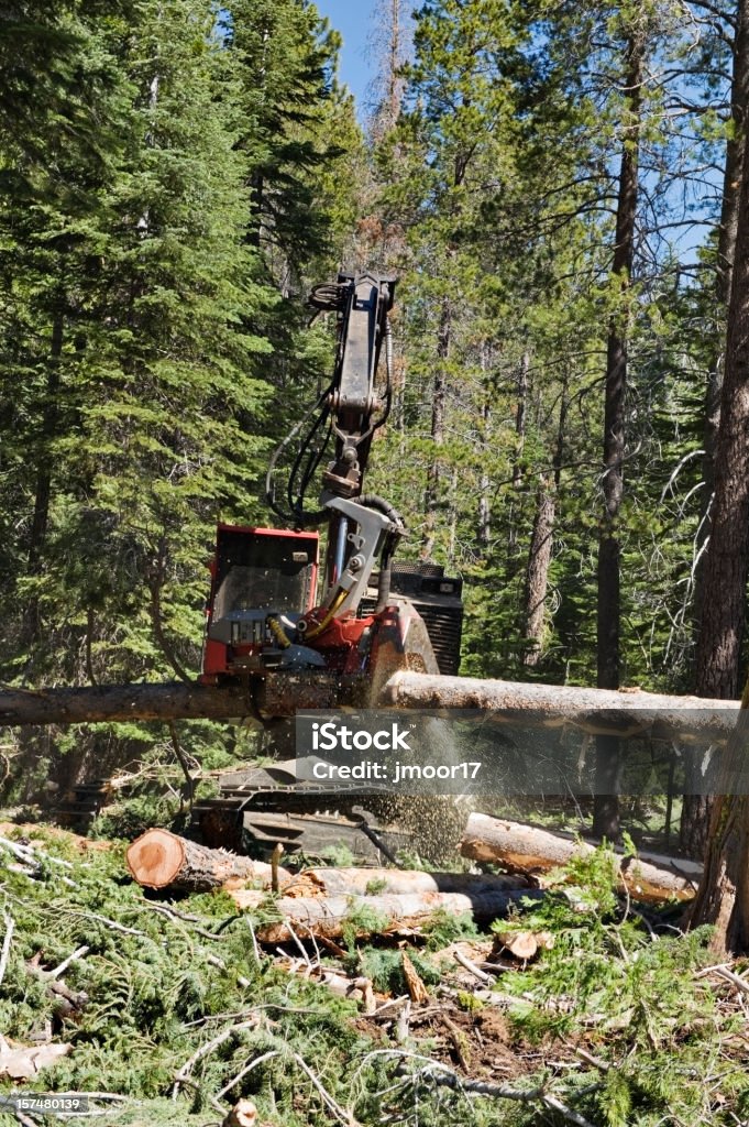 Modern Logging Equipment  Color Image Stock Photo