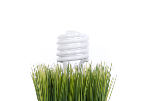 A light bulb in grass.