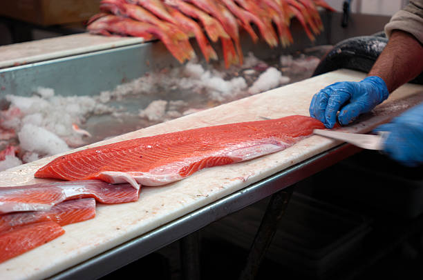 Fresh Salmon Being Prepared for Market