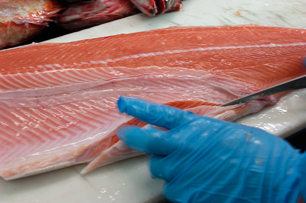 Fresh Salmon Being Prepared for Market