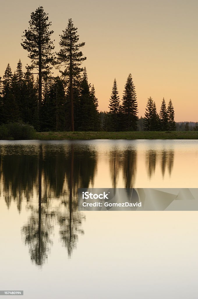 Pines Bäumen spiegelt sich im See bei Sonnenuntergang - Lizenzfrei Abenddämmerung Stock-Foto