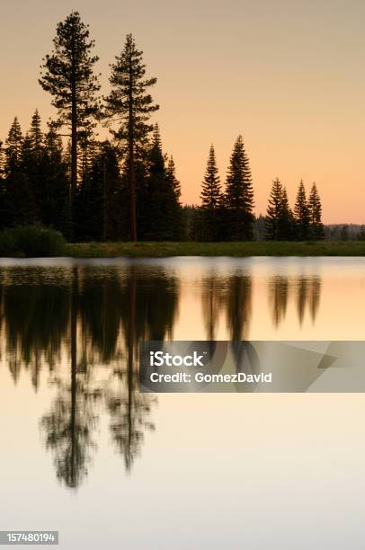 Pines Bäumen Spiegelt Sich Im See Bei Sonnenuntergang Stockfoto und mehr Bilder von Abenddämmerung