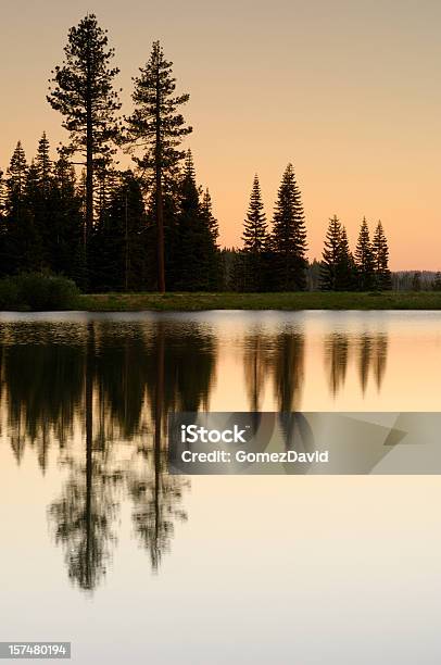 Foto de Pinheiros Árvores Refletido No Lago Ao Pôr Do Sol e mais fotos de stock de Beleza natural - Natureza - Beleza natural - Natureza, Califórnia, Cena de tranquilidade