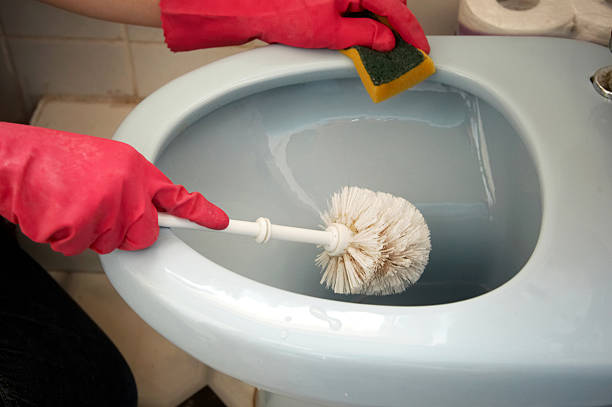 Cleaning the bathroom Cleaning the bathroom toilet brush photos stock pictures, royalty-free photos & images