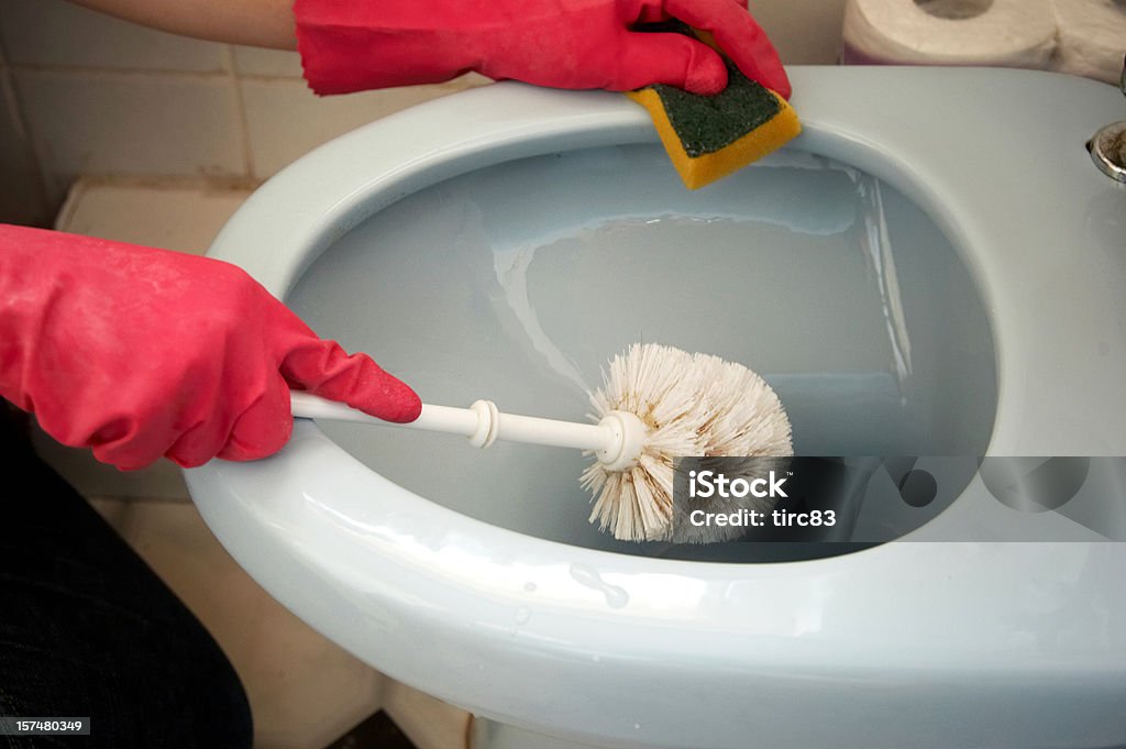 Sprzątanie łazienki - Zbiór zdjęć royalty-free (Szczotka do WC)