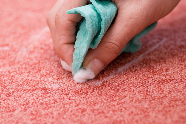 クリーニングレッドカーペット-斑点 entfernen - 徹底的に洗う ストックフォトと画像