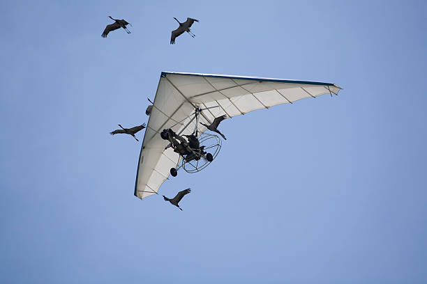 microlight  ultralight photos stock pictures, royalty-free photos & images