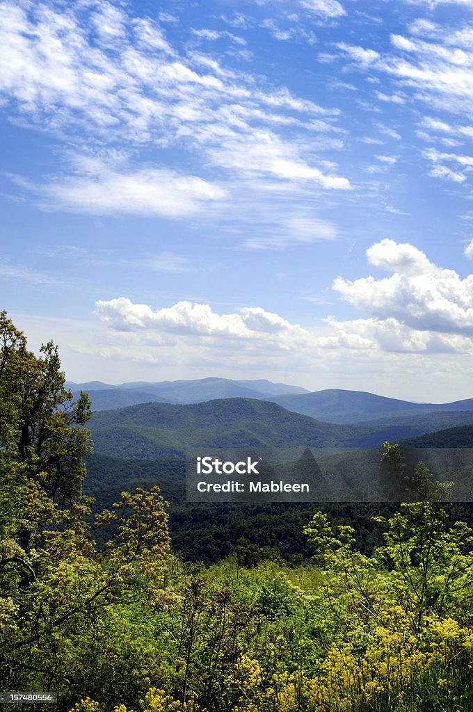 Catena montuosa del Blue Ridge - Foto stock royalty-free di Virginia - Stato USA