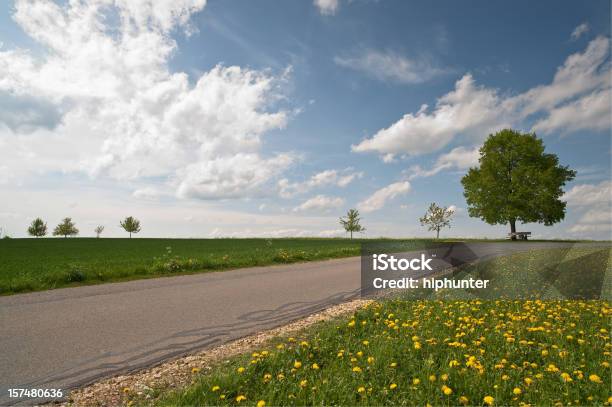 Strada Attraverso Bellissimo Paesaggio - Fotografie stock e altre immagini di Strada - Strada, Albero, Ambientazione esterna