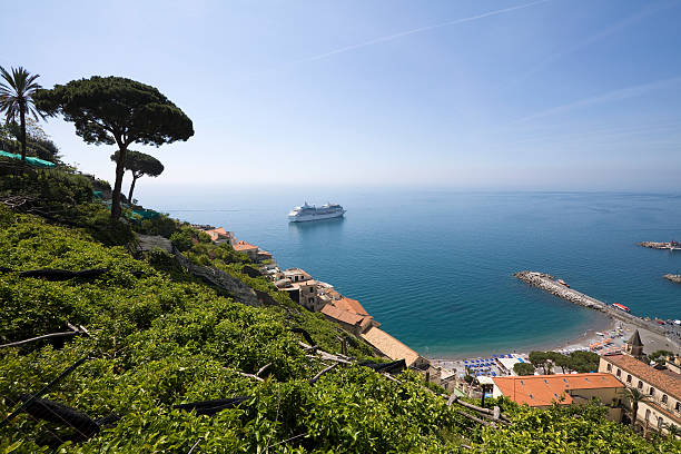istock Growing lemons in Amalfi (Italy) 157480702
