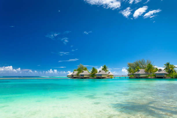 istock Dream Holiday Luxury Hotel Resort 157480716