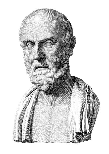 Bust of Hippocrates  classical greek illustrations stock illustrations
