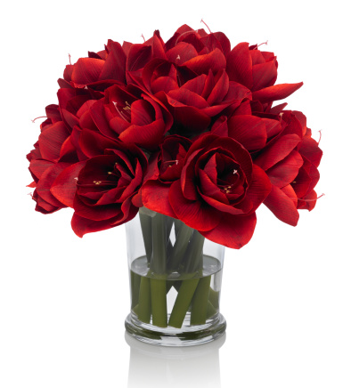 A beautiful red amaryllis bouquet in a glass vase with reflection. The image has an embedded path to delete the reflection if desired.  Photographed on a bright white background. Extremely high quality faux flowers.