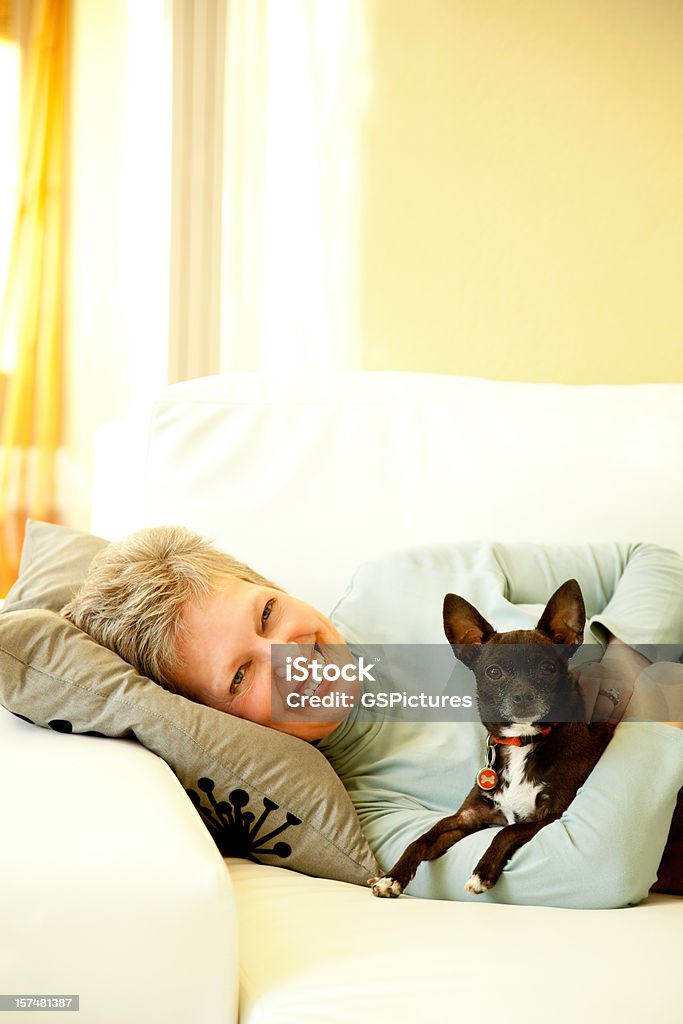 Senior Woman Lying on a sofa with Her Dog Mature woman lying on couch with her pet dog Chihuahua Dog Stock Photo