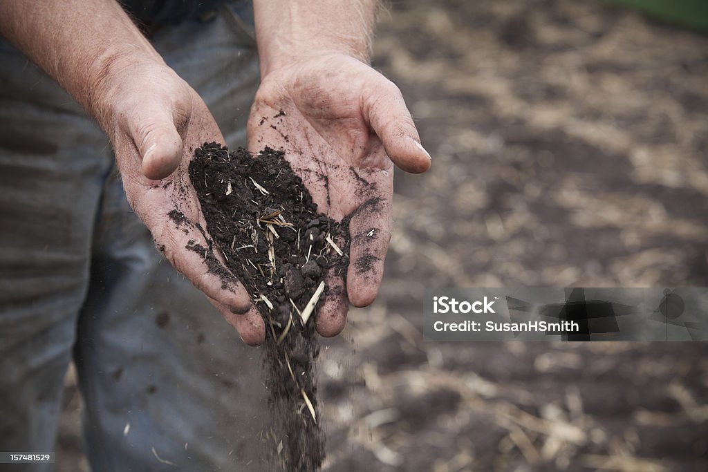 Farmer's ręce Trzymając ziemi. - Zbiór zdjęć royalty-free (Gleba)