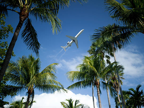 istock Airplane takes off between the palm trees 157481553