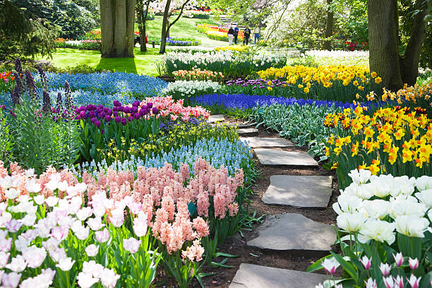 jardín de flores # 53 xxxl - field tulip flower tree fotografías e imágenes de stock