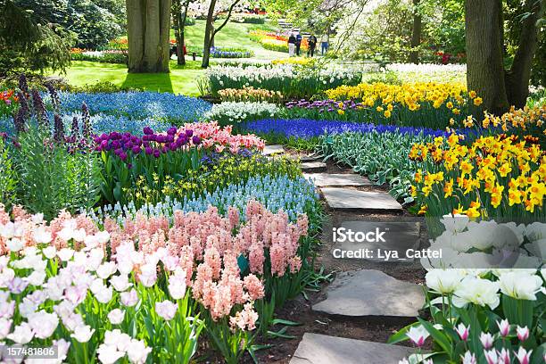 Garden Flowers 53 Xxxl Stock Photo - Download Image Now - Flower, Botanical Garden, Springtime