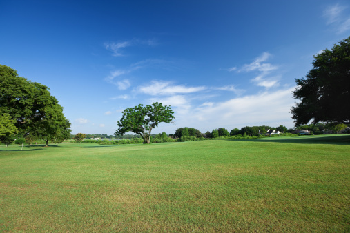 Golf fields and beautiful summer landscapes. 