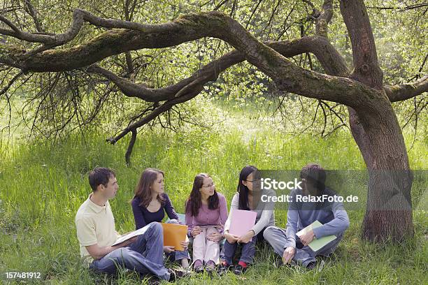Grupo Multiétnico De Estudantes Sentado Na Grama Sob Árvore Xxxl - Fotografias de stock e mais imagens de Adulto