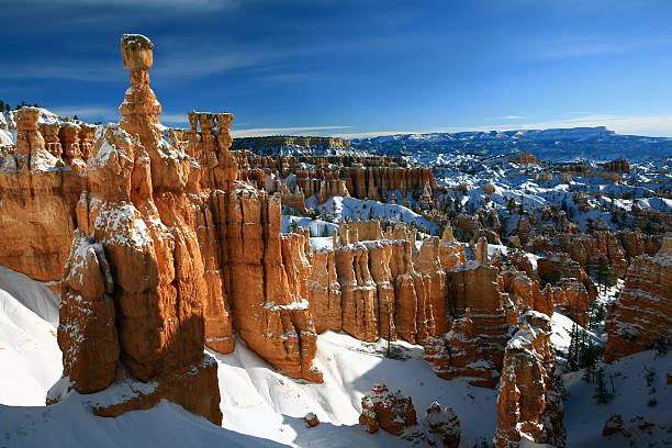 Bryce Canyon in Winter Thor's Hammer Bryce Canyon and Thor's Hammer.Thor's Hammer in Bryce Canyon. A winter scenic of Bryce Canyon, Utah. Colorado Plateau. This stunning scene, one of the most famous in the Midwest, is a striking example of water erosion. This National Park is frequented by photographer's for it's beauty, geographic and rock formations, and photographic potential. Thor's Hammer is one of the most famous sights at the sunrise viewpoint.  bryce canyon national park stock pictures, royalty-free photos & images