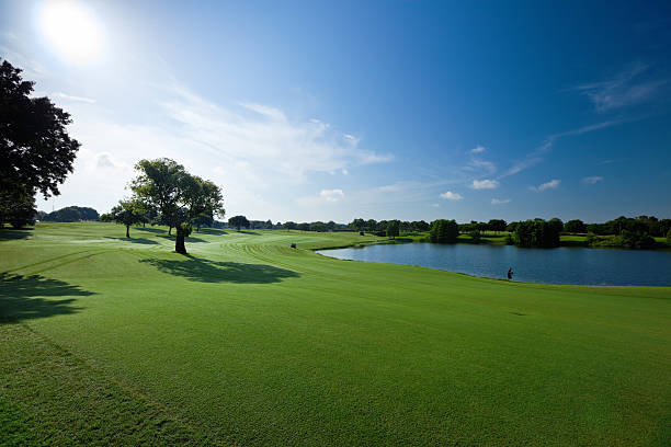 ゴルフのフィールド - beauty beauty in nature golf beautiful ストックフォトと画像