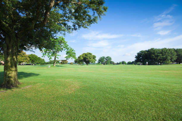 golf-felder - naturreservat stock-fotos und bilder