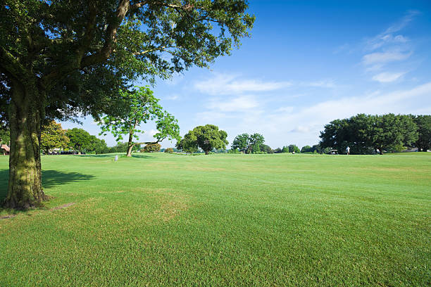 campi da golf - hill grass park sky foto e immagini stock