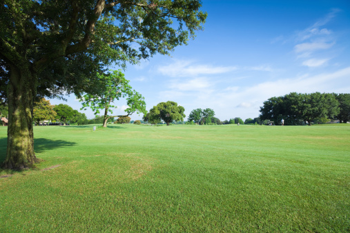 Golf fields and beautiful summer landscapes. 